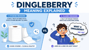 Illustration explaining the meaning of dingleberry with hygiene and slang examples.
