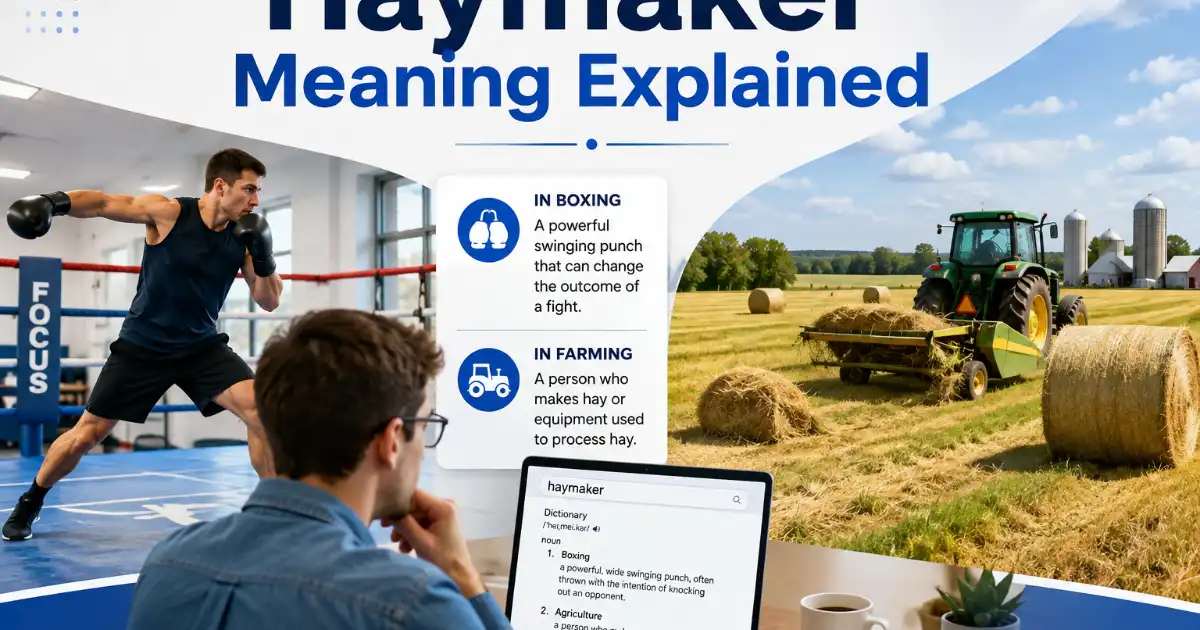 Haymaker meaning explained with a boxer and agricultural haymaking scene
